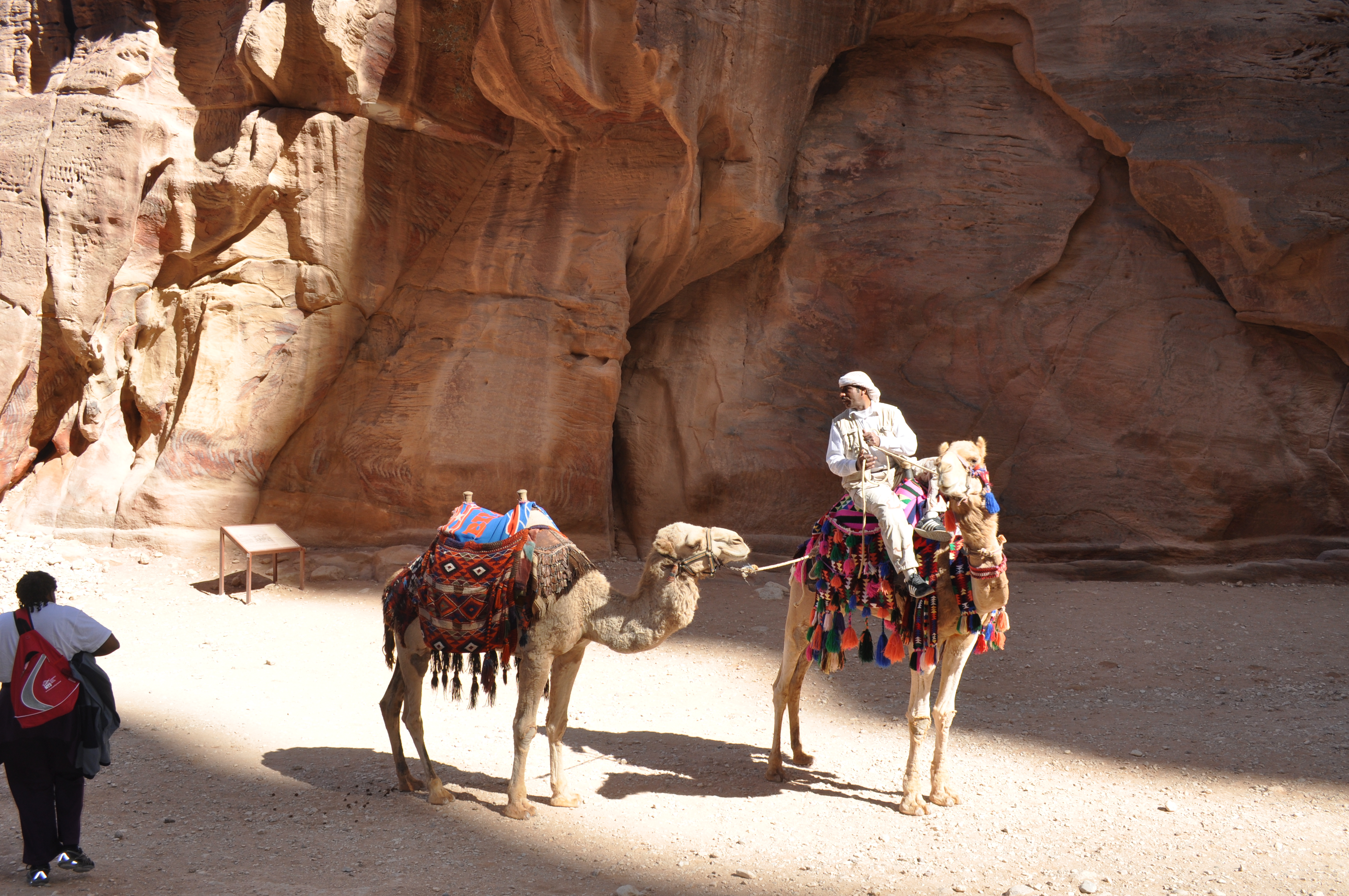 Man on a camel in the ancient city of Petra